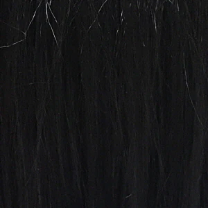 Diana Lace Front Synthetic Wig HFW Stella