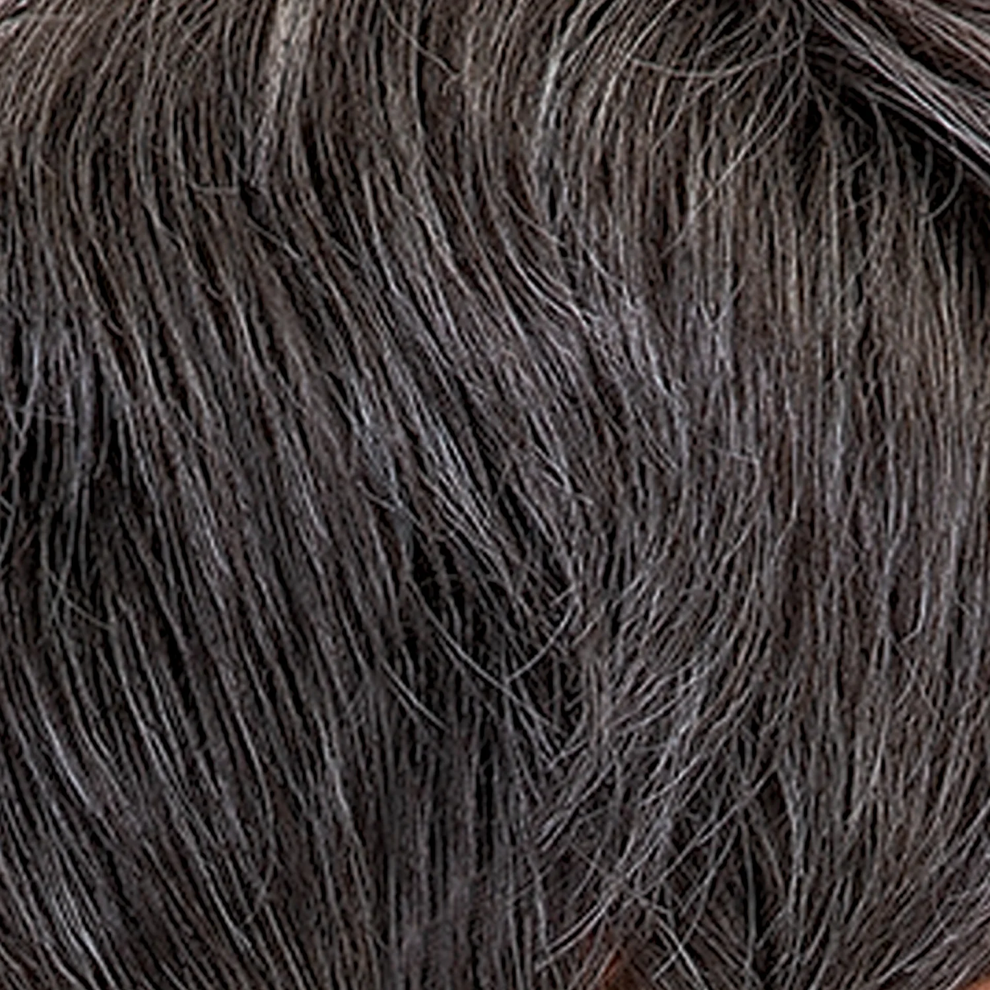 Femi Collection Ms. Granny Synthetic Wig Cicely
