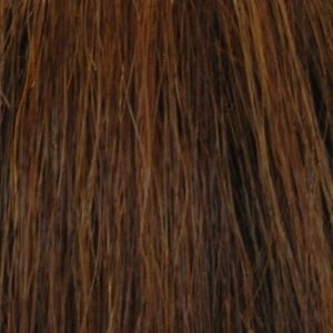 Diana Lace Front Synthetic Wig LW Audrey