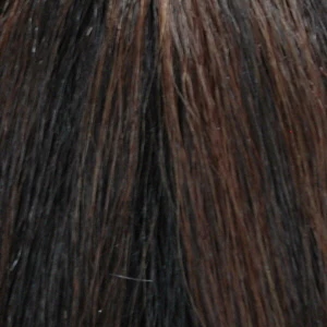 Diana Lace Front Synthetic Wig HFW Stella
