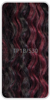 Freetress Braid Water Wave 22"