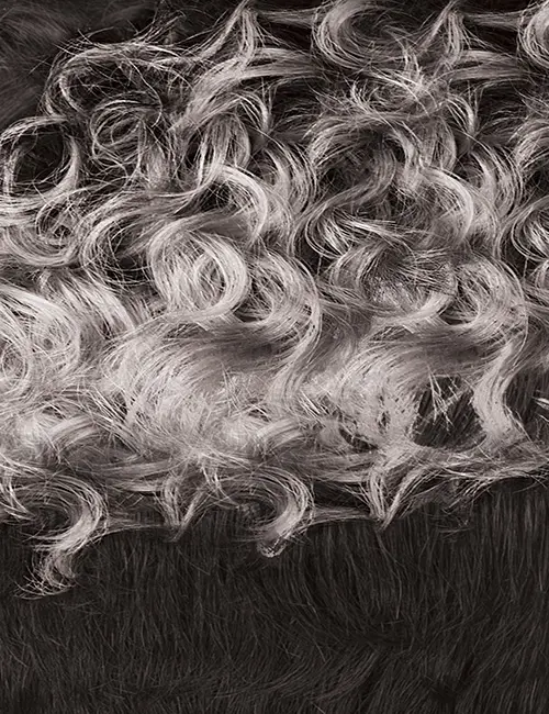 Outre 100% Human Hair Lace Front Wig Crissa