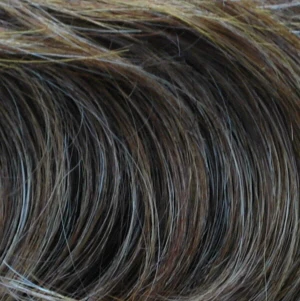 Diana Lace Front Synthetic Wig LPW Shaggy