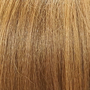 Diana Brazilian Secret Lace Front Synthetic Wig HBW Brazilian Girl