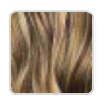 Femi Collection Ms. Auntie Synthetic Wig Afro Zora