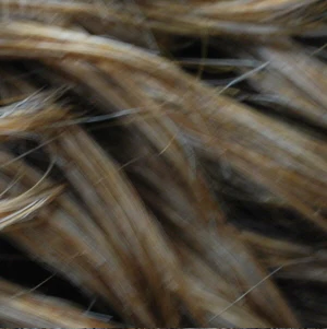 Diana Pure Natural Synthetic Wig Chanel