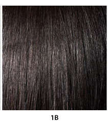Janet Collection Luscious 100% Natural Virgin Remy Human Hair Wig Sasha