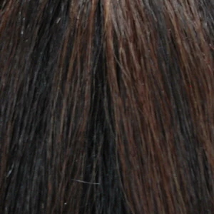 Diana Brazilian Secret Lace Front Synthetic Wig HBW Brazilian Girl 30"