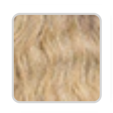 Edge HD Transparent Swiss Natural Hairline Part Lace Front Wig Trisha